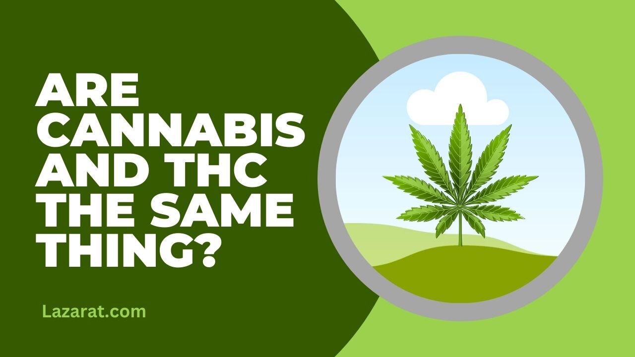 Cannabis vs THC - What’s the Difference? Explained Simply