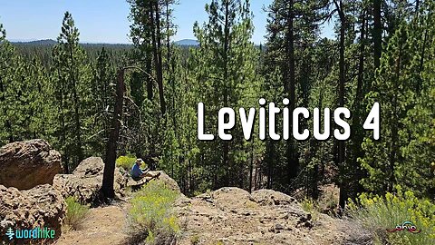 Leviticus 4, Bible Reading in Nature, BSB