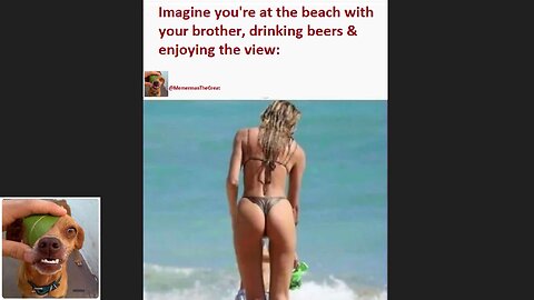 Memes That Will 99.0362% Make You Laugh. (e586)