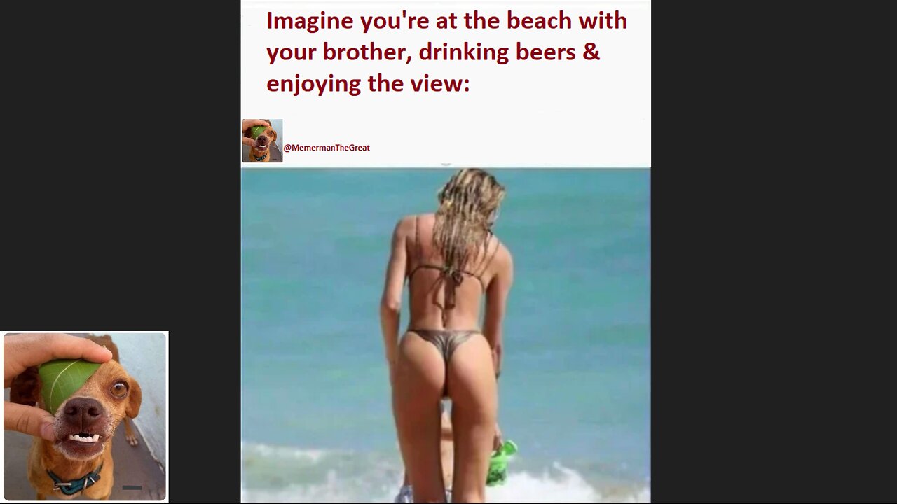 Memes That Will 99.0362% Make You Laugh. (e586)