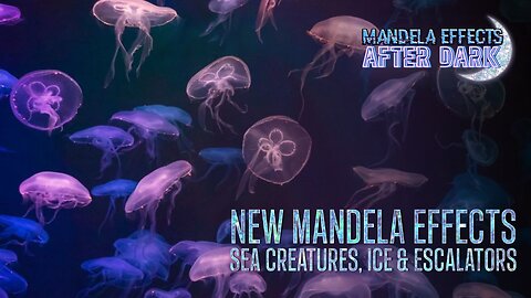 #mandelaeffects AFTER DARK | NEW MANDELA EFFECTS | JELLYFISH, ICE & ESCALATORS