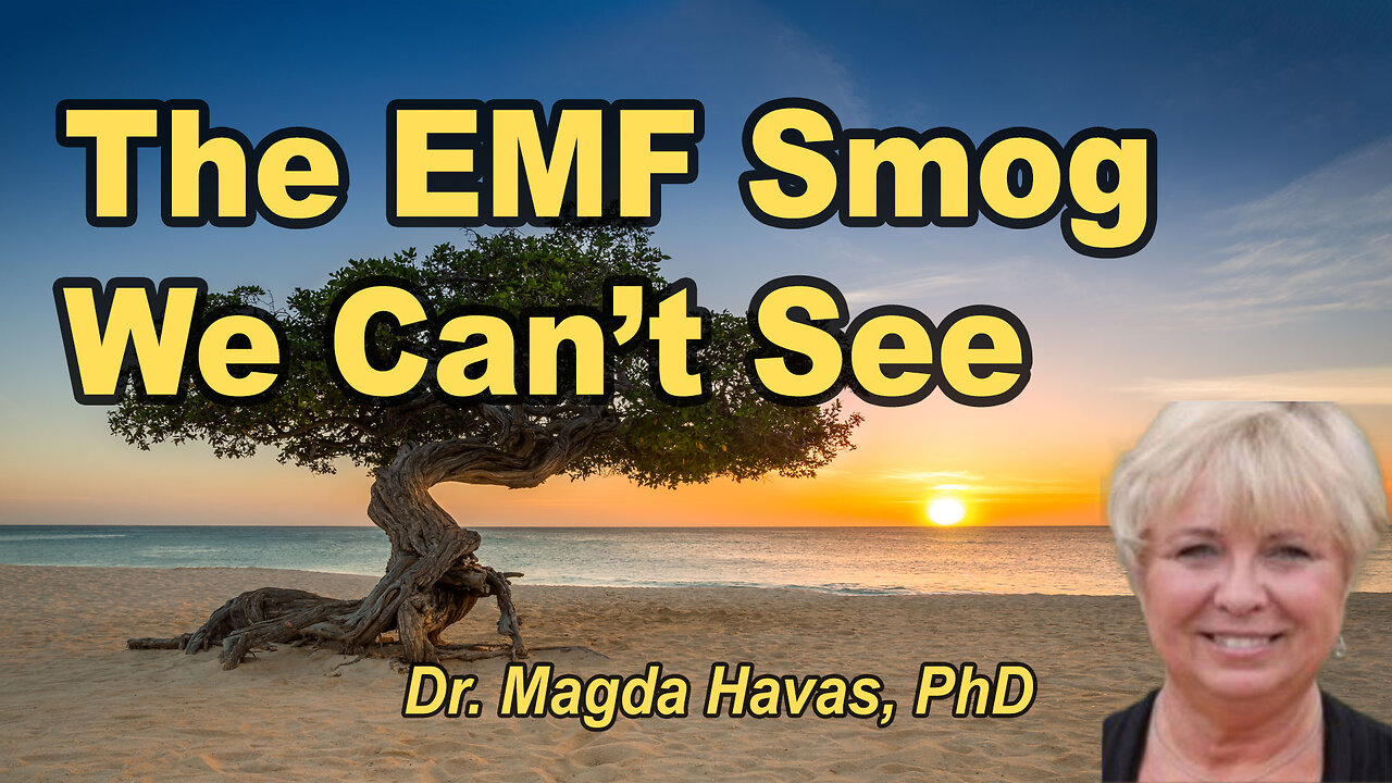 The EMF Smog We Can’t See