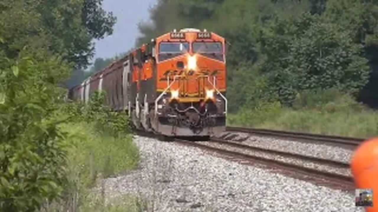 CSX Trains from Sterling, Ohio August 17, 2024 Part 2