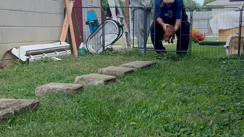 Fast As Fuck Boi!😅😂