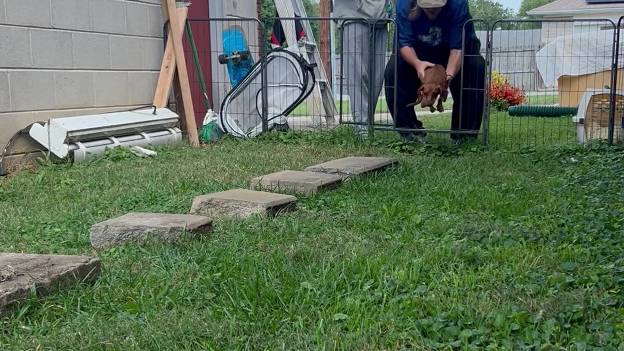 Fast As Fuck Boi!😅😂