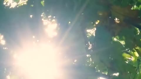 Daily Horoscope | Pisces 🌟