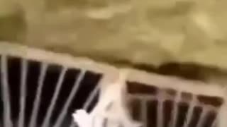 Masonic tunnel uncovered?