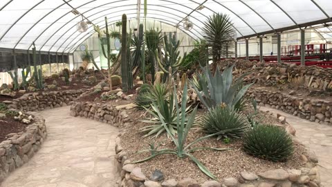 Chihuahuan Desert Museum 8 (Saltillo, Coahuila, Mexico)