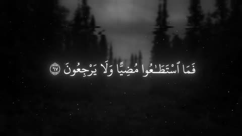 Jaza kallah ♥️✨