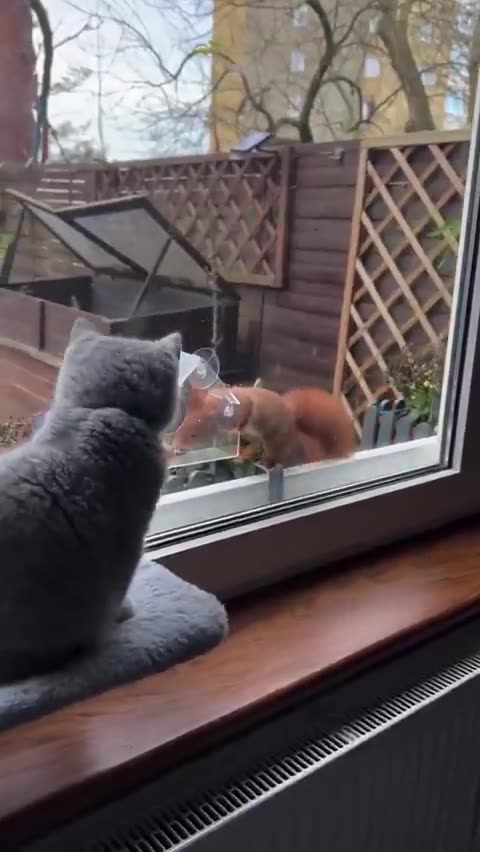 Aweeee peaceful video.