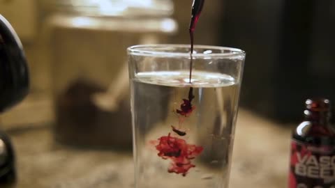 IW Archives 2019 Dec 31