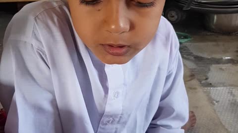 Students are studying