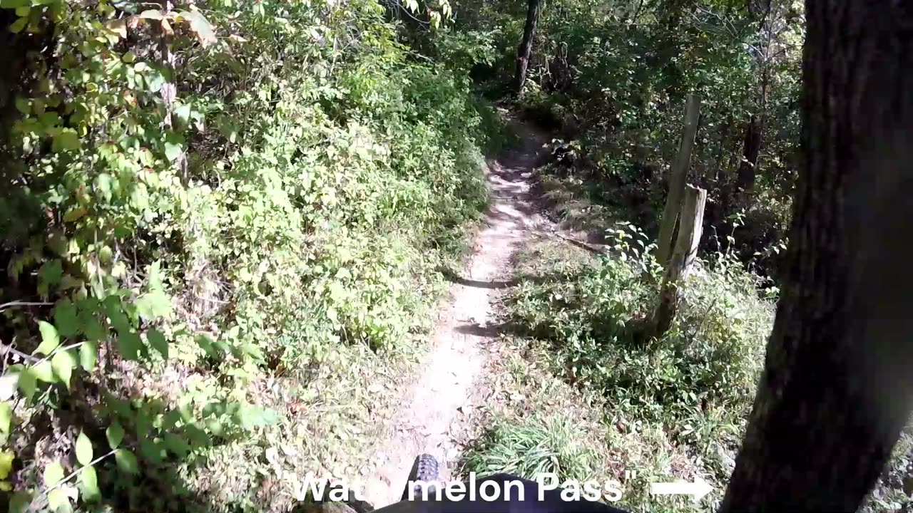 Sunderbruch Park MTB trail - "Farmdale"