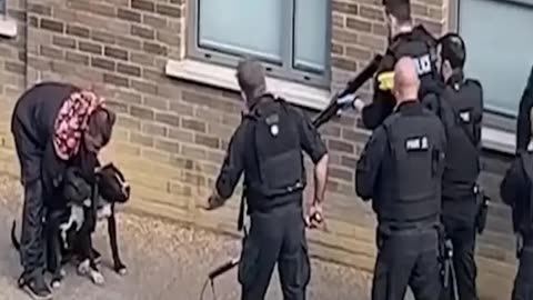 Policja strzela, Berkowicz kradnie, Maciak odfruwa, a Nawrocki bohaterem