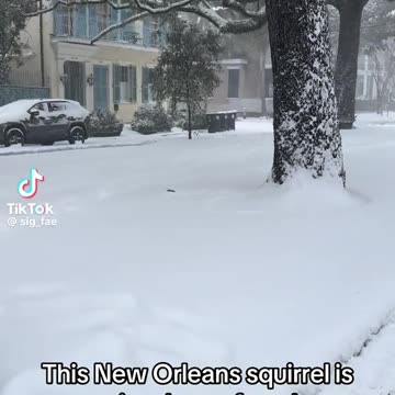 Grand Solar Minimum 2020-2053