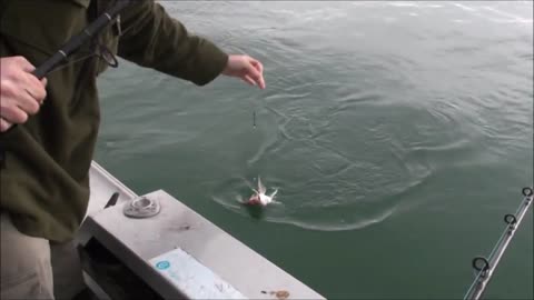 Funny fishing day