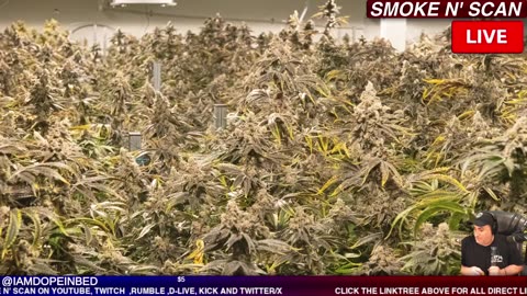 JUSS CHILLING WATCHING THE BS NARRATIVE ! #LIVE #ICE #MINNESOTA #OREGON