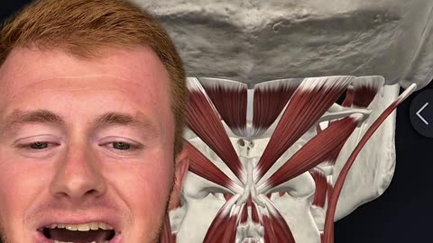 Why do I have vestibular issues? | Vertigo| Dizziness