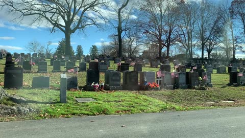 Thanksgiving thoughts from an estranged mother