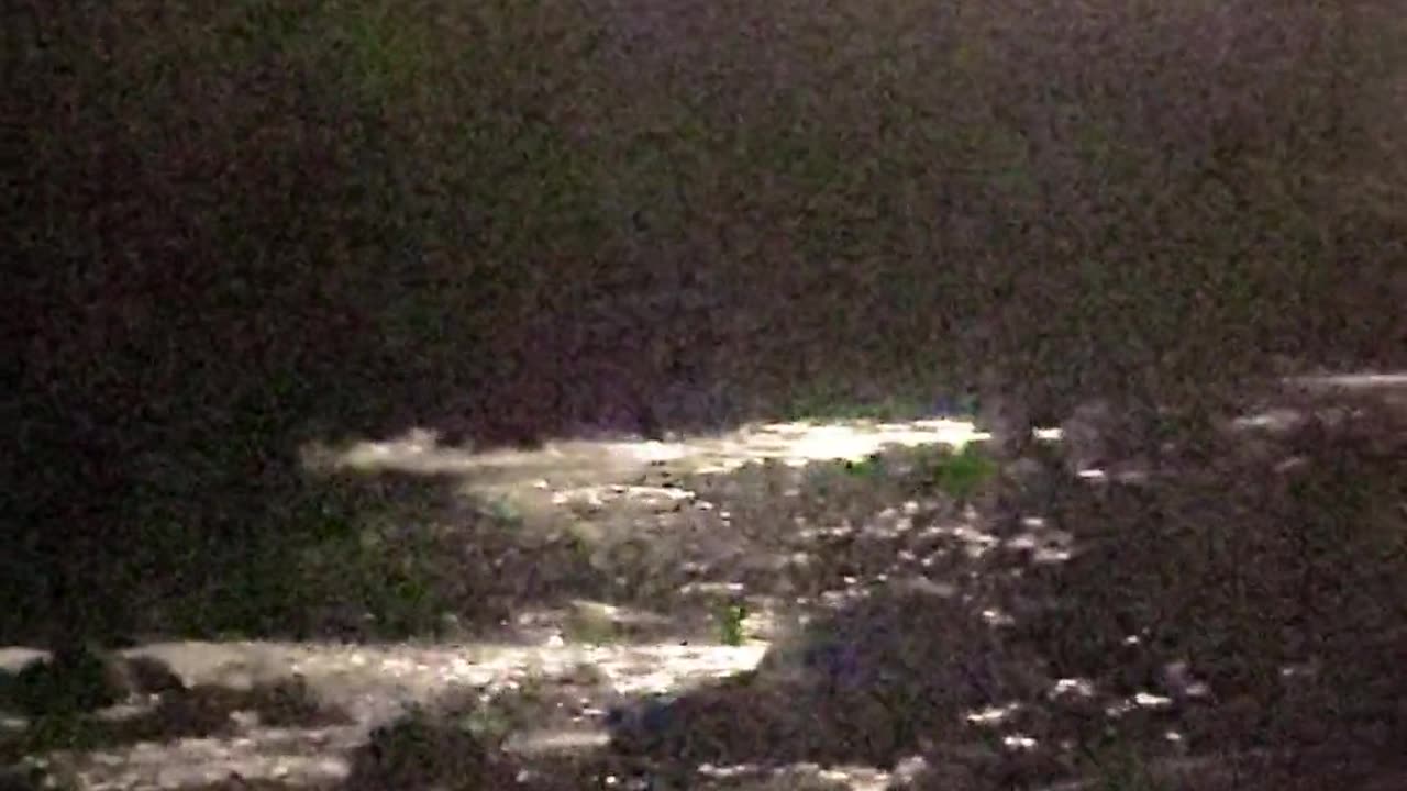 👻😱 Creature Speaks in Unknown Tongue! | TheHauntingHour