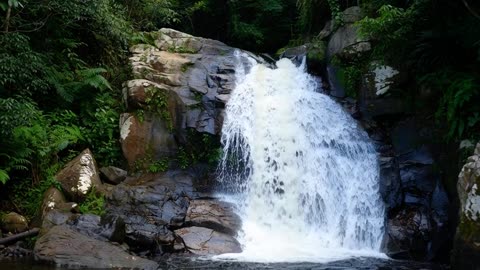 beautiful and dangerous