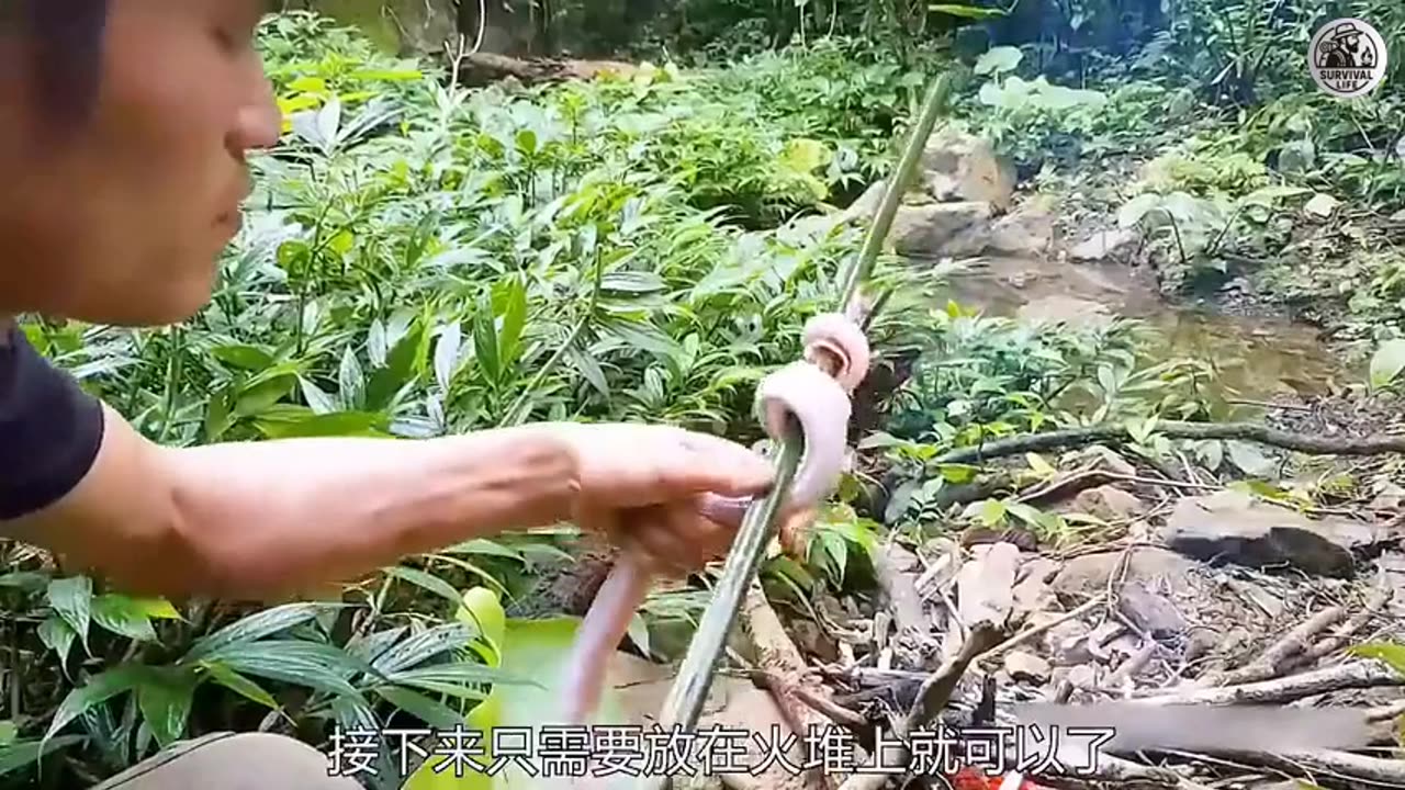 Working in the Wild | Survival + Remix Music