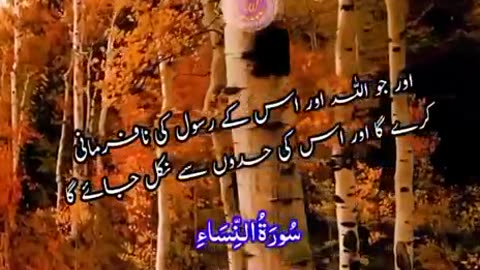 Beshak 💯♥️✨🕊️