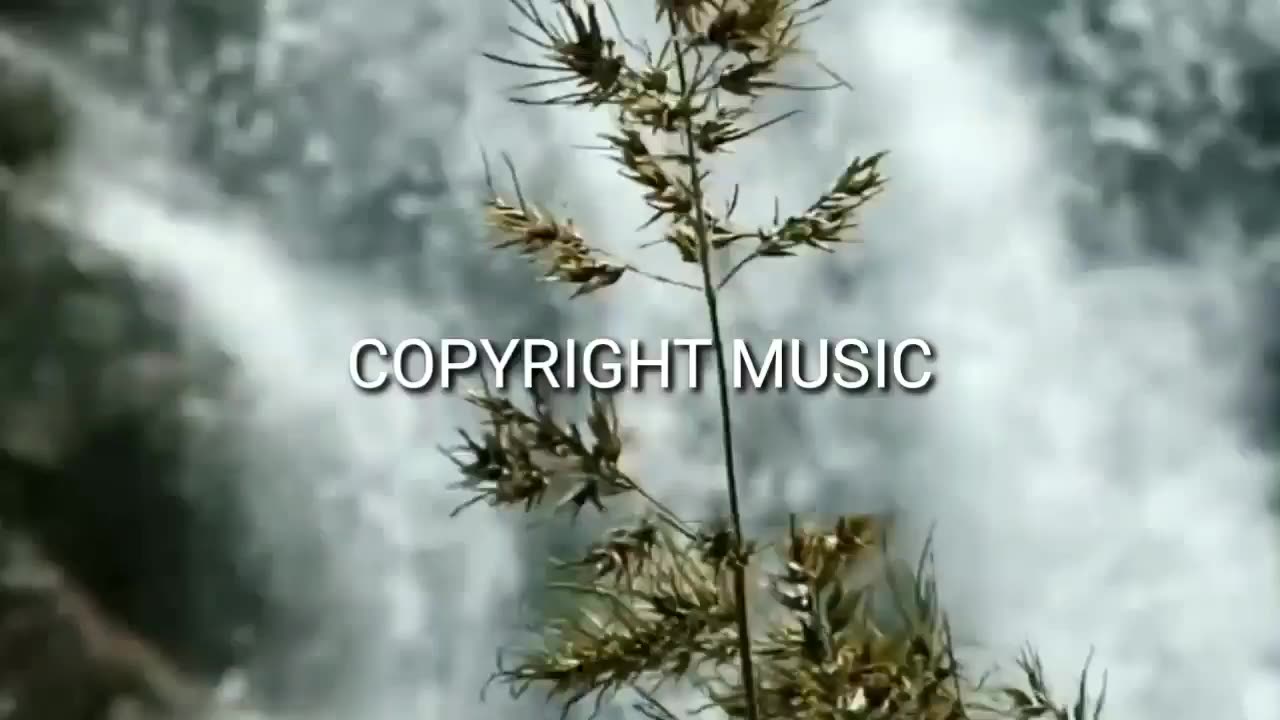 Nature music video