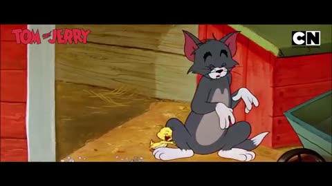 Tom & jerry