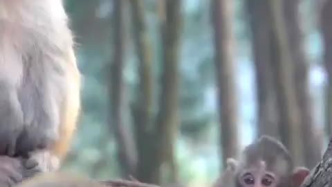 she was checking to see if it was her kid or nah.. 🐒😂