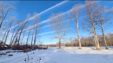 They Are Lying To Us!