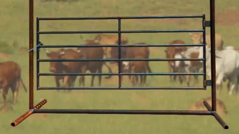 Freestanding Bow Gate Panels