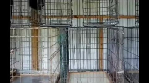 Trgovina Globoke države. Vse se vrti okoli otrok!