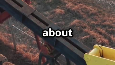 The Story of Dick Cheney 🏛️ | Power, Politics, and Controversy Explained