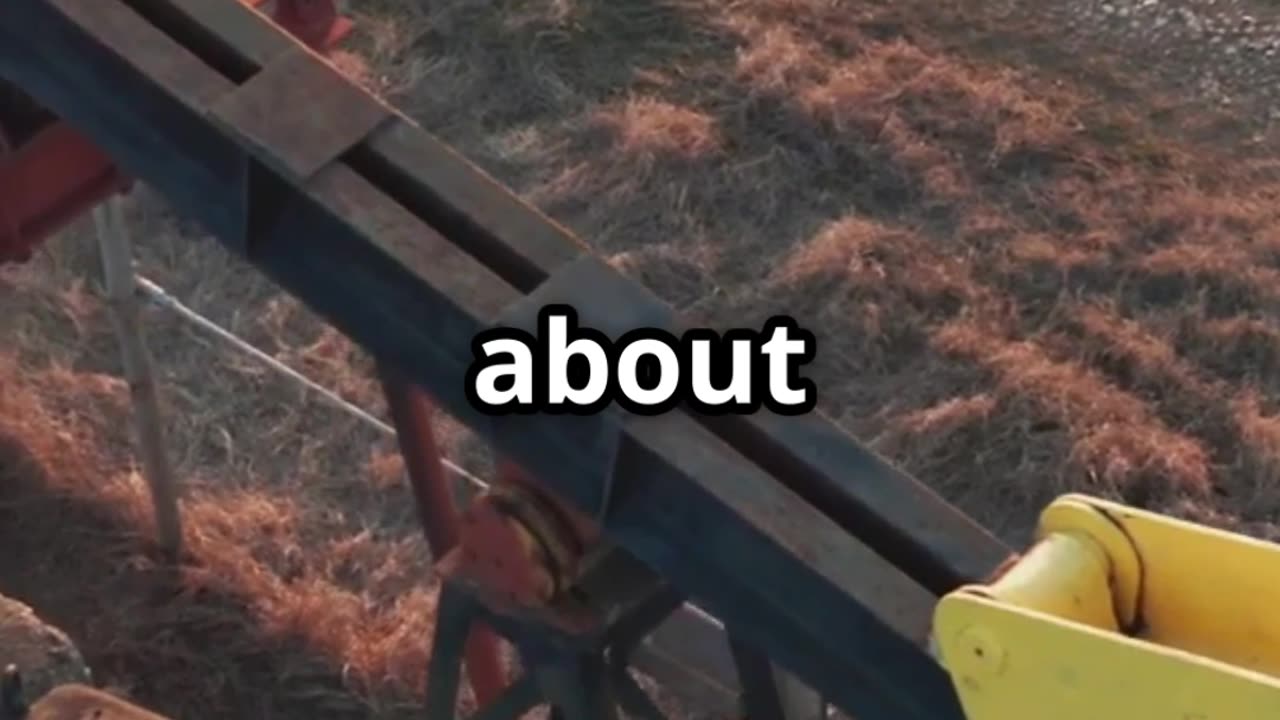 The Story of Dick Cheney 🏛️ | Power, Politics, and Controversy Explained