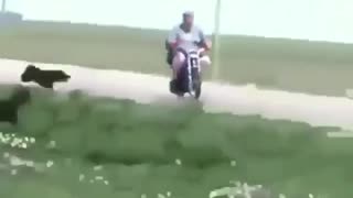 🚧😂 Hilarious Unexpected Obstacles on the Route! | FunFM