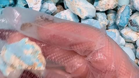 20251007-05 Turquoise Earrings: Play a Nimble Melody