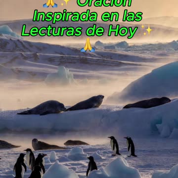 🙏✨ Oración Inspirada en las Lecturas de Hoy ✨🙏