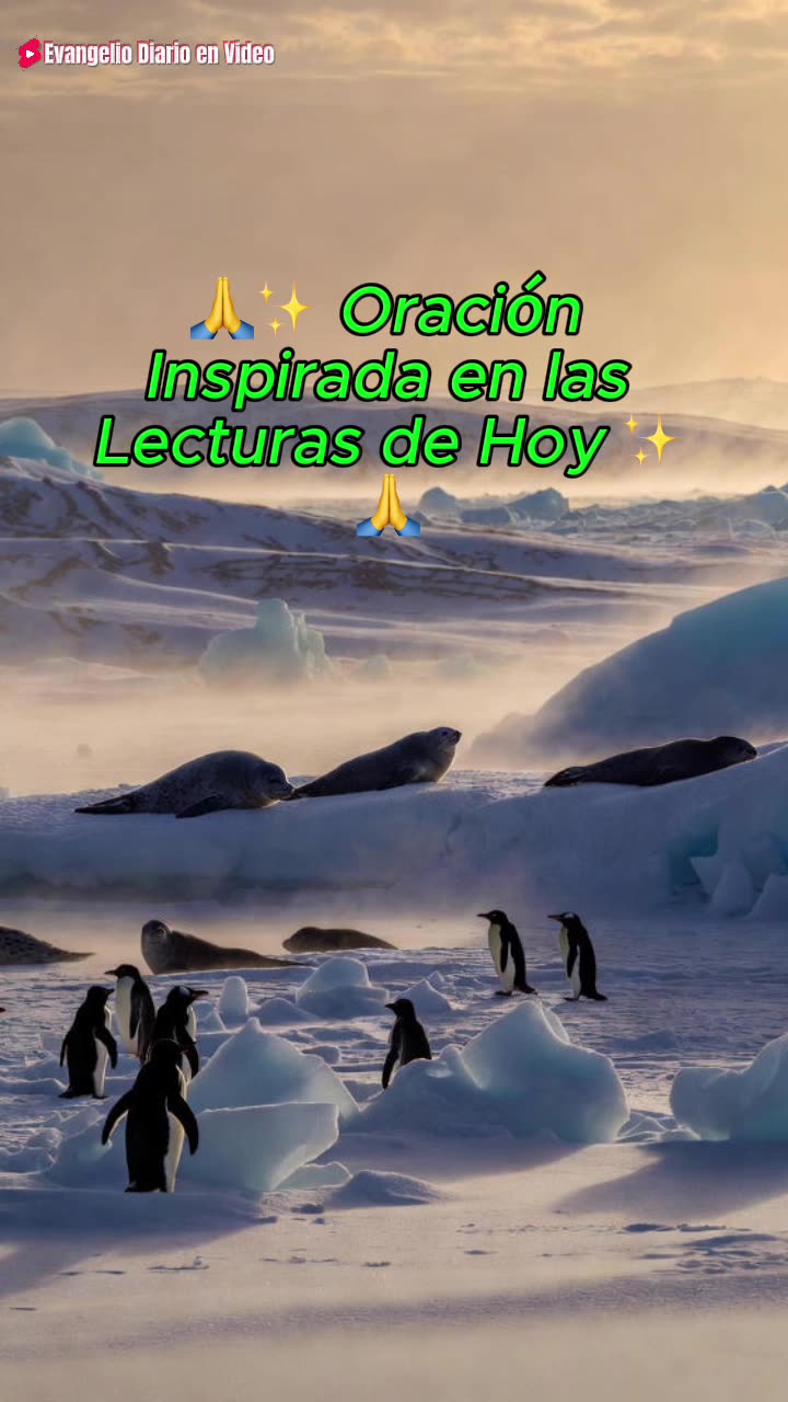 🙏✨ Oración Inspirada en las Lecturas de Hoy ✨🙏
