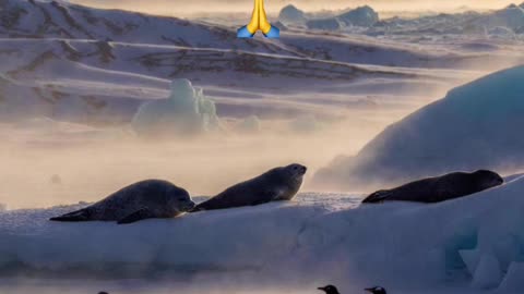 🙏✨ Oración Inspirada en las Lecturas de Hoy ✨🙏