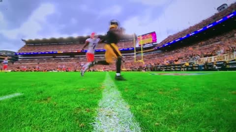 Steelers WR #4 D.K. Metcalf TD 🏈25yds.
