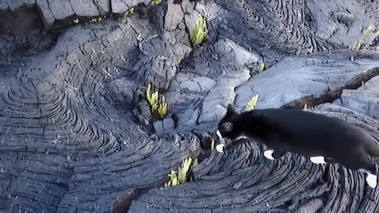 Lava Girls Enhanced