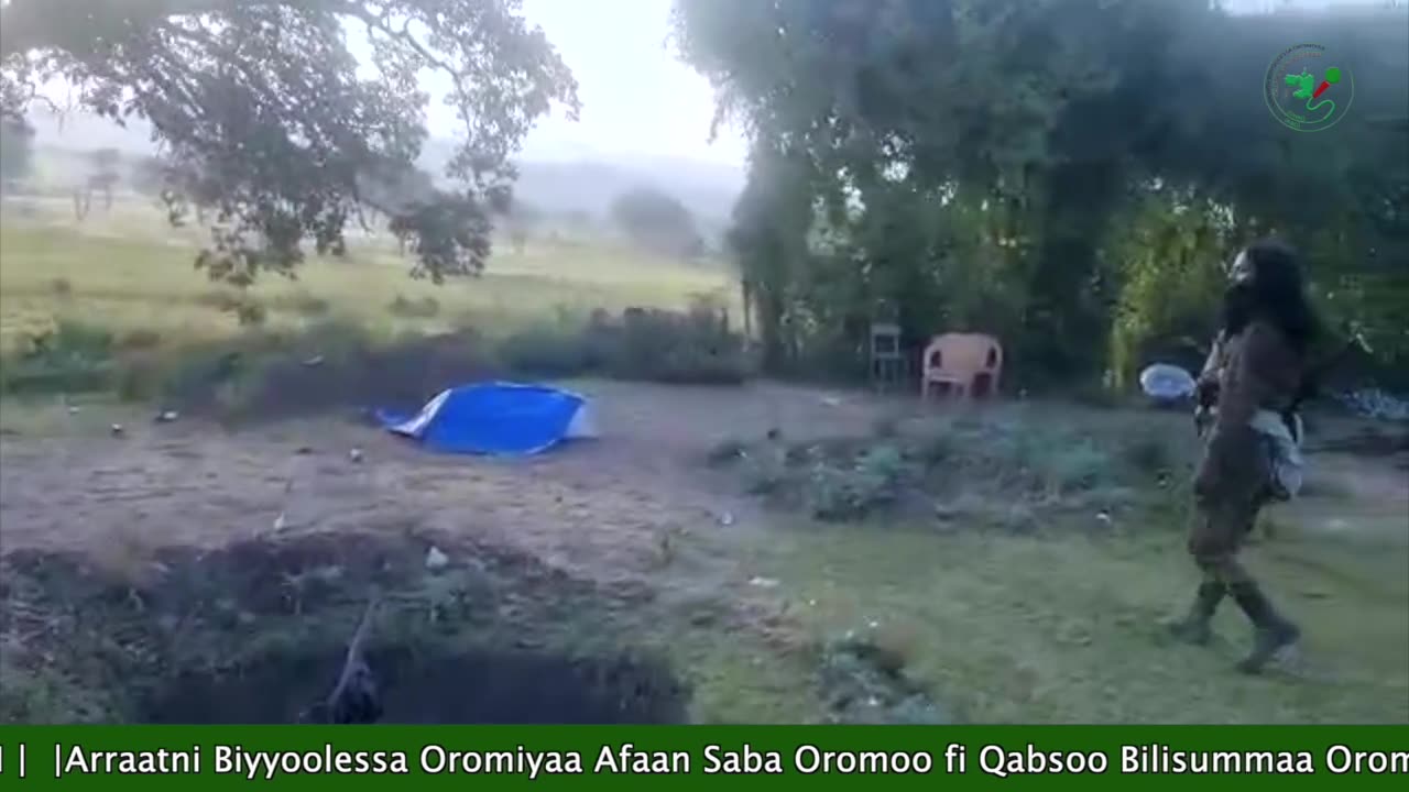 Gabaasa Ammee ONM-ABO Onkoloolessa 26-2025 itti dhiyaadhaa!