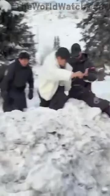 Skier mauled by snow leopard after getting too close for a picture