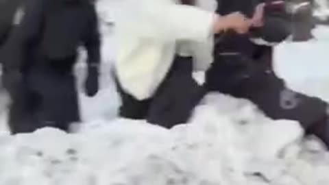 Skier mauled by snow leopard after getting too close for a picture