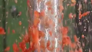 Shocking: Tomatoes vs. 150 ton hydraulic press 🫣 #hydraulicpress #crushing #sati