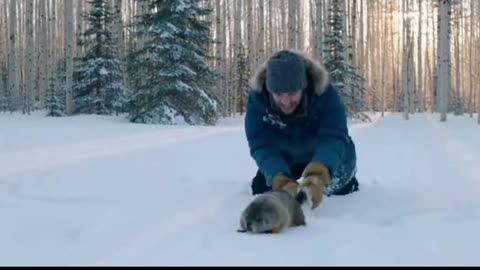 Groundhog🐿️ In The Snow🌨️ Now👀2026