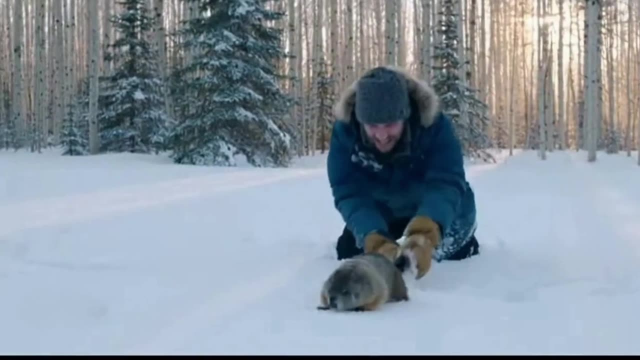 Groundhog🐿️ In The Snow🌨️ Now👀2026