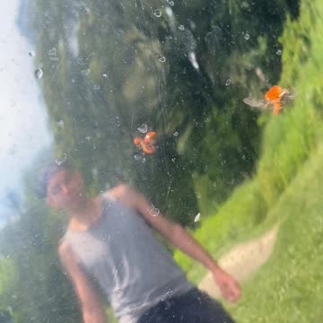 A BEAUTIFUL LADYBUG!