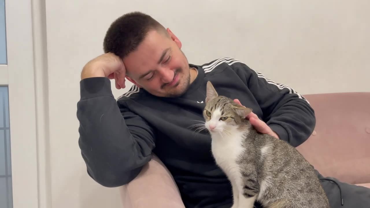 Cat Refuses to Leave its Owner